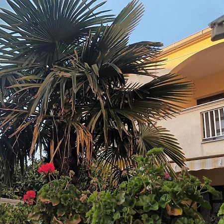 Studio Apartman Casper Zadar Exterior foto